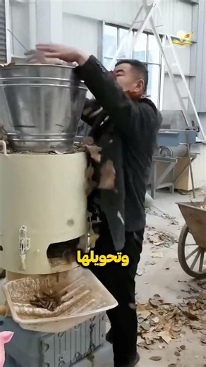كيف تتحوّل أوراق الشجر إلى وقودٍ يدفئ المنازل؟!