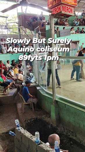 ⚠ WARNING ⚠ This content features cockfighting, which may be disturbing to some viewers. Viewer discretion is advised. #DISCLAIMER Cockfighting is a cultural practice in some regions but is considered illegal and unethical in many countries not promote or endorse violence, animal cruelty, or illegal activities. Please respect local laws and animal welfare regulations. #kiwogamefowl #CockfightKings #SabongChampion #ViralSabongClip #GamefowlBattle #5MViewsSabong #SabongEntertainment #RoosterShowdo