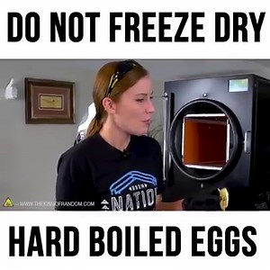 Today we're taking several different types of eggs and seeing how they survive the freeze drying process! | The King of Random