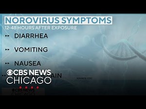 Norovirus symptoms and prevention