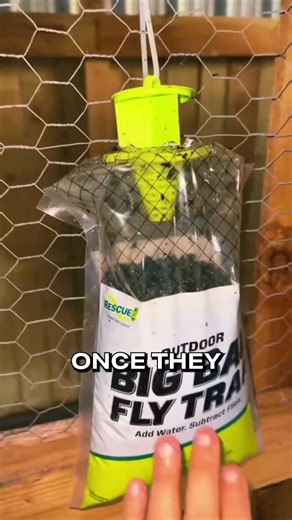 America’s Weird Fly Trap That Actually Works #Shorts #YTShorts #FlyTrap