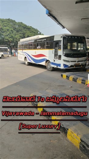 విజయవాడ To జమ్మలమడుగు Vijayawada To Jammalamadugu APSRTC Super Luxury Bus #vijayawada #jammalamadugu