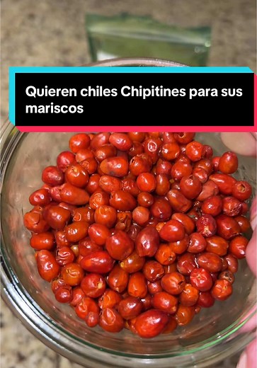 estos chiles son traídos desde la Sierra de Sonora frescos de temporada ideales para tus caldos tus mariscos y lo mejor es el precio aquí en Estados Unidos es muy difícil encontrar chiles así de baratos y más cuando son chiles ##chipitines##Pepper#chiles##chilpetin##pepper