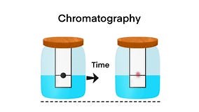 chromatography analytical method for the separation of a mixture into its individual components