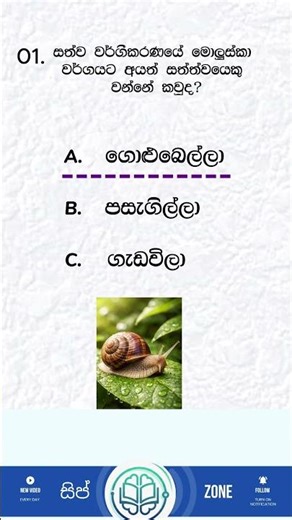 99% Fail GK Question 😲 | Sinhala Quiz