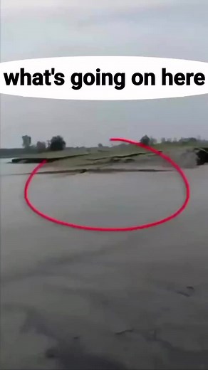 434K views · 2.8K reactions | WTF  ….....#aquarius #boi #bushdid911 #clouds #creepy #ghost #ghosthunting #ghosts #haunted #horror #iwanttobelieve #likesforlikes #love #nature #paranormal #paranormalactivity #paranormalinvestigation #pepe #scary #sky #skylovers #spooky #sun #sunset #thexfiles #travel #tree #twinpeaks #weather #xfiles | Paranormal Reels | Facebook