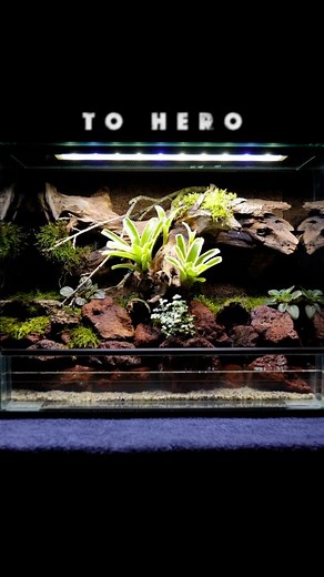 Building a super simple and super affordable low maintenance paludarium for vampire crabs. . . . #aquascaping #aquascaper #aquascapes #plantedtank #natureaquarium #aquariumhobby #aquariumdesign #freshwateraquarium #iwagumi #jungleaquascape #hardscape #driftwoodscape #aquaticplants #bucephalandra #anubias #javafern #paludarium #paludariums #paludariumlife #paludariumdesign #bioactive #terrariumlife #vivariumplants #mosslover #tropicalplants #aquaticandterrestrial #naturalistic #natureinspired #ra