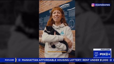 Bone Jovi, the tuxedo cat, finds home at The Bone Museum