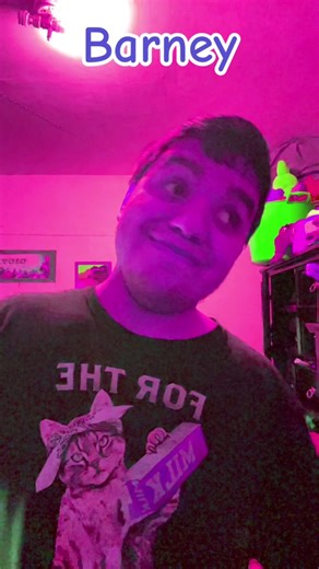 Barney's Beach Party Adventures