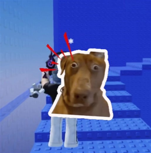 Espero les guste 😁