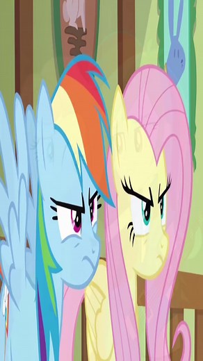 Best Duos in MLP: A Look at Memorable Partnerships