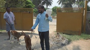 18K views · 621 reactions | Cows feed organic industry in Karnataka Inspiring for youth Farmers All Remaining Parts 2,3,4,5,6,7,8,9 Coming Shortly. #cowfeedindustry | My Nature India Foundation | Facebook