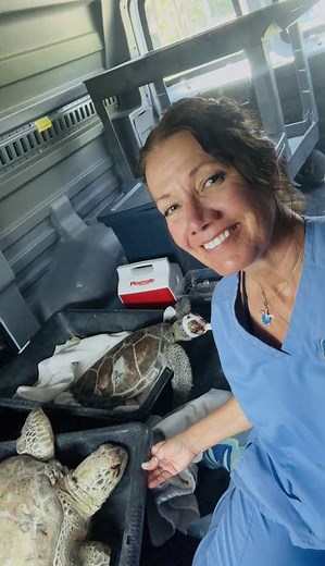 The Turtle Hospital (@turtlehospital) - Turtle Hospital: Al, Jack, and Shaybrooke's Recovery Journey