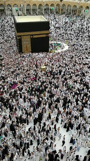 حسابات مقترحة