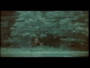 #historia #serial #premiera 23 grudnia 1973 roku odbyła się premiera serialu telewizyjnego w reżyserii Andrzeja Konica "Czarne chmury". W rolach głównych wystąpili Leonard Pietraszak, Ryszard Pietruski, Anna Seniuk, Elżbieta Starostecka i inni. Kapitalną muzykę do serialu stworzył Waldemar Kazanecki. Mnie po mimo upływu tylu lat w dalszym ciągu na dźwięk ścieżki dźwiękowej serialu coś za serducho chwyta. #MojeKsiążkiMójŚwiat | Moje książki - Mój Świat.