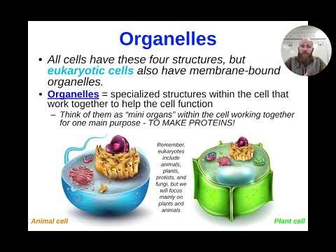 [12] Unit 2, Lesson 1 Presentation