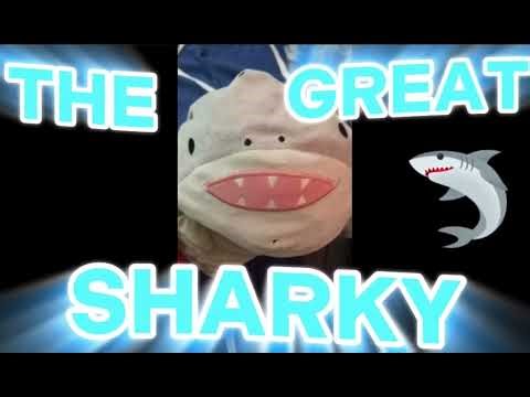 The SLSS Introduction