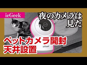 【ペットカメラ開封&天井設置】高画質なカメラでペットの日常を見守ろう