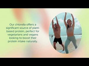 Sun Chlorella’s #1 Best-Selling Powder – How To Take For Best Health & Wellness Benefits