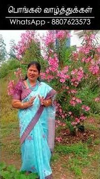 பொங்கல் வாழ்த்துக்கள்