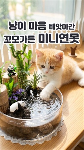 고양이도 반해버린 꼬모가든 미니 분수대 #Shorts