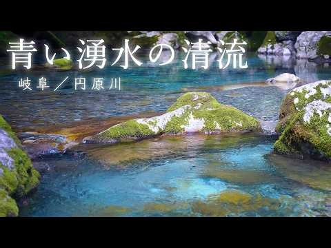 【睡眠用BGM】湧水の清流・円原川｜優しい水音に癒されぐっすり眠る【岐阜・秘境】