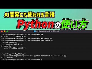 AI開発ならPython！プログラミング言語PytyonをMacで使おう
