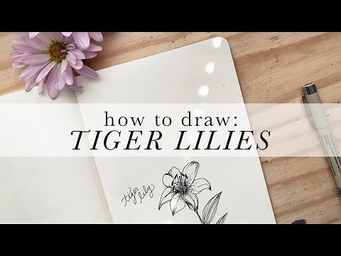 How to Draw: Tiger Lilies | Authentic by Frani