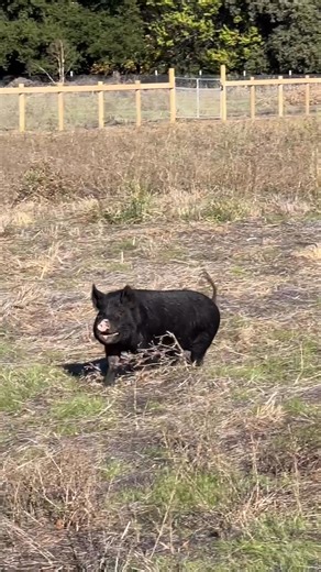 20 reactions | Darwin wants to wish all y’all a very Happy World...