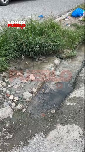 Residentes de Villa Mella denunciaron el estado de abandono en el que se encuentra la calle María Trinidad Sánchez, una de las vías más transitadas de la zona al conectar la carretera de La Victoria con la carretera Villa Mella-Yamasá. La problemática principal radica en el colapso del drenaje cloacal, lo que provoca el estancamiento de aguas negras frente a instituciones clave como el Liceo Público Francisco del Rosario Sánchez, el Distrito Educativo 10-01 y el Centro Tecnológico Comunitario (C