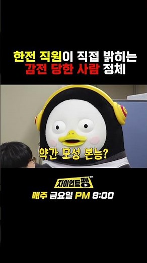 한전 직원이 직접 밝히는 감전 당한 사람 정체
