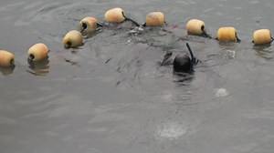 63K views · 2.7K reactions | Taiji: Towards the end of yesterday’s...