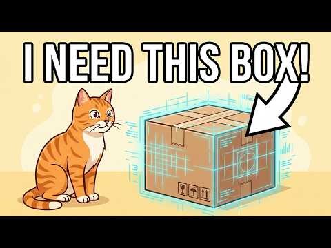 WHY are CATS obsessed with CARDBOARD?
