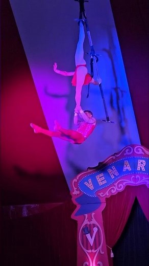 🎪 Amazing Aerial Acrobatic Feats! Performance at the Circus! 🌟
