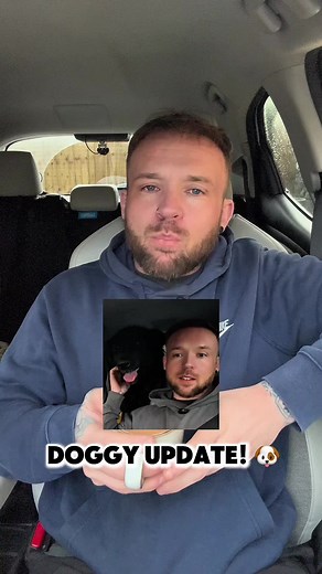 Heartwarming Rescue of a Missing Dog on Driving Lesson