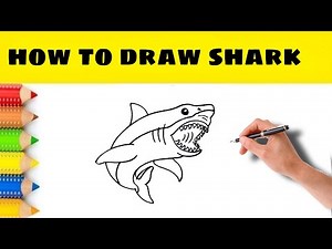 How to draw a shark || step by step