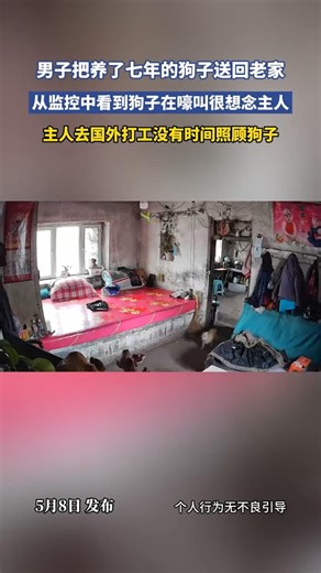 🇨🇳 男子务工别忠犬：七年相伴送老家，监控中悲鸣思主 🇬🇧 Seven Years of Loyalty: Dog Cries for Master Sent Abroad