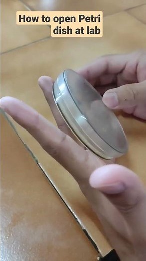 How to use petri dish at lab to avoid contamination #shorts #laboratory #pathology