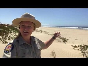 Discover the Dunes at Oceano Dunes State Vehicular Recreation Area