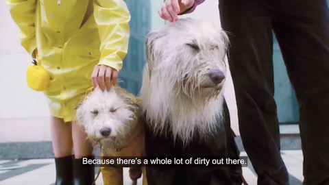 Dirty Labs | Hand Wash and Delicates | Scent Free | 32 Loads (8.6 fl oz) | Bio Enzyme Liquid Laundry Detergent | For Fine Silks, Wools, Handwash Garments | Hyper-Concentrated | Non Toxic, Biodegradable | Stain & Odor Removal