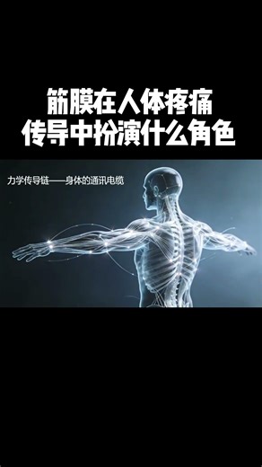What role does fascia play in human pain? #SportsAnatomyKnowledgeSharing #CreatorCenter #Creative...