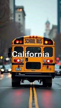 Bus Backing Safety