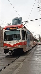 Calgary Transit Siemens Series 7 SD160 as Blue Line to Saddletowne Station departing City Hall Stn