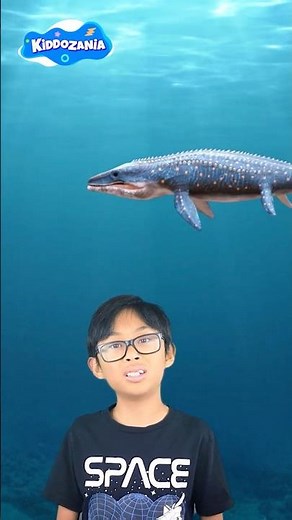 Mosasaurus Fun Facts for Kids – Learn the Giant Marine Reptile of The Sea with Hunter of Kiddozania!
