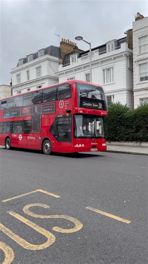 London Bus Route 31 First Bus BYD BD11 #shotoniphone16promax #bydbd11 #londonbus