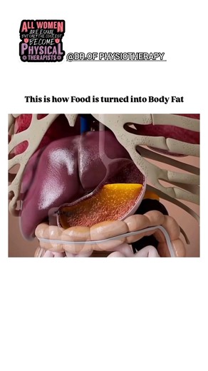 How Food Turns Into Body Fat | Simple Physiology Explained #medicalshorts # bodyfat