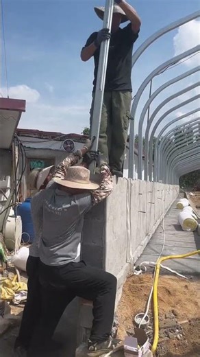 Building a Modern Pig Farming Shed | Smart Livestock Solutions