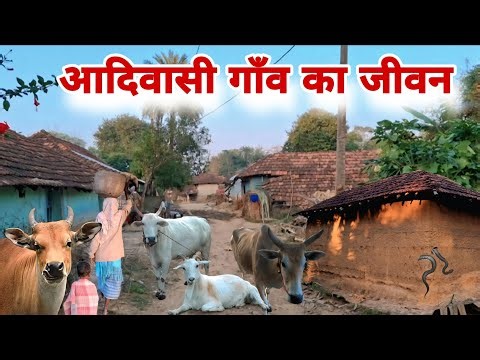 झारखण्ड का आदिवासी गाँव | Jharkhand Tribal village vlogs |