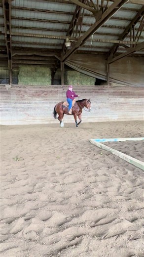 How about a teaching moment… This lope shows a split leg over the pole (penalty in trail). I have people ask what a split leg looks like, so this is an example. Yes I could have shown you many videos of Coco doing it perfect, but why not let people learn from it. 👏🏻 This mare has been in our training program from the start. She is a three year old by VS Goodride. She shows a lot of talent starting trail. #VSgoodride #gisellebaby #horsetrainingtips #horsesoftiktok