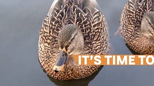 Pre-planning is determining the details of your funeral and cemetery...